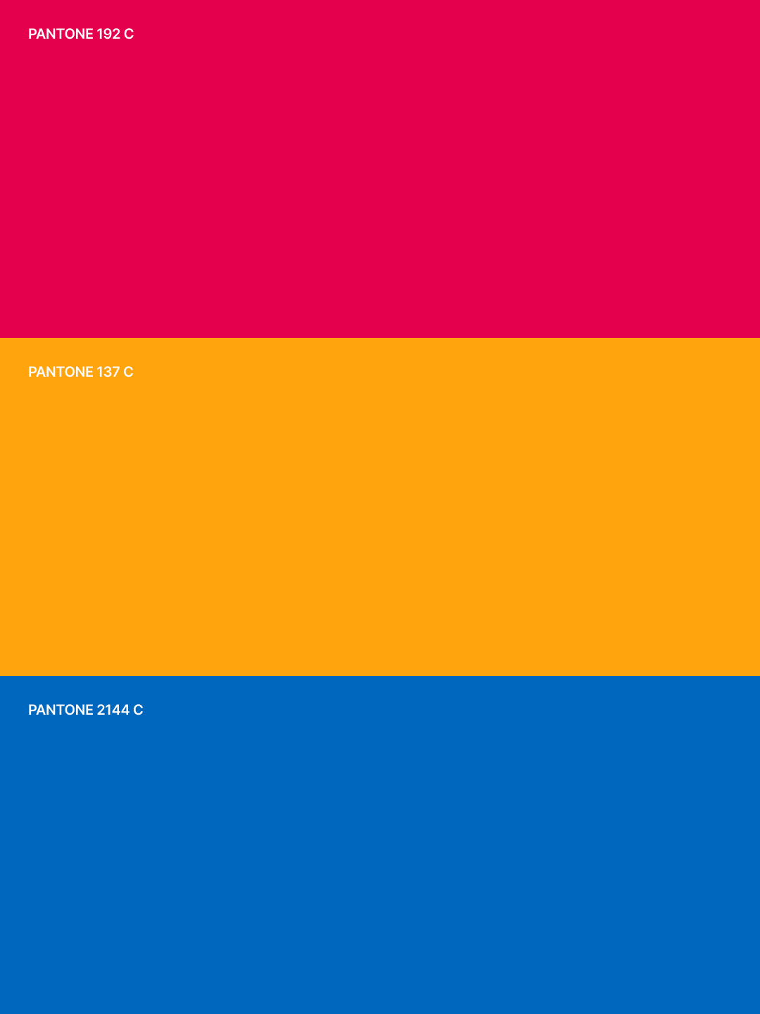 Stranger — Nylon Jacket 09